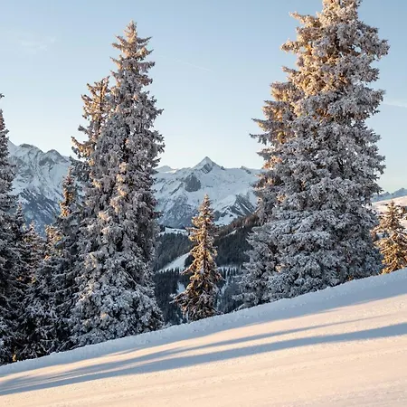 Blaickner's Sonnalm Hotel