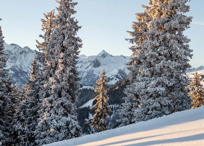 Blaickner's Sonnalm Hotel